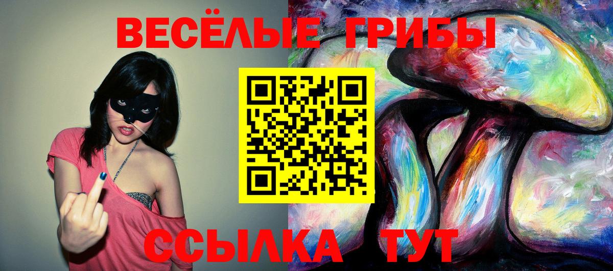 Галлюциногенные грибы Psilocybine cubensis Ефремов