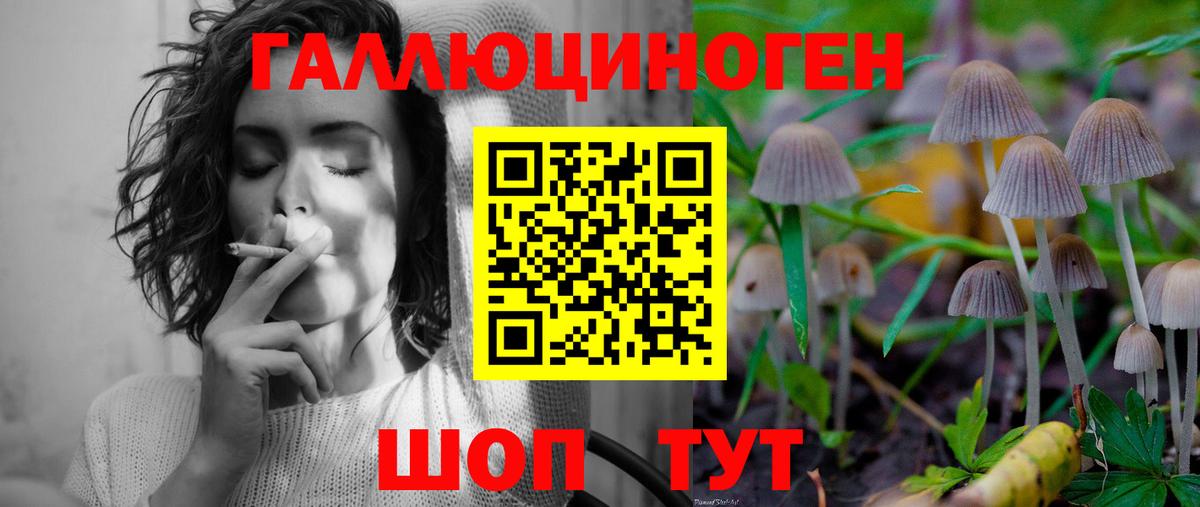 Ефремов  Галлюциногенные грибы ЛСД  Вход с VPN 